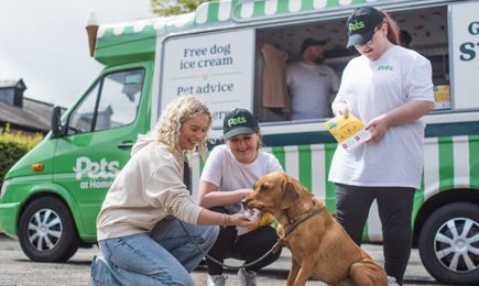 Ice Cream Van 2