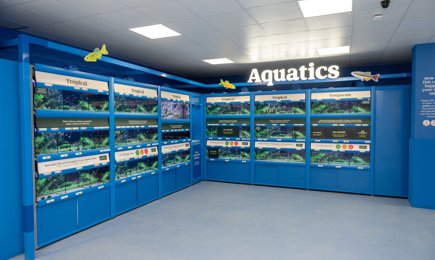 SWNS PETS AT HOME NEW MALDEN 31