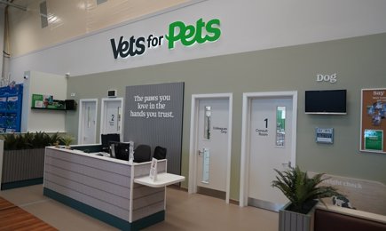 SWNS PETS HULL113