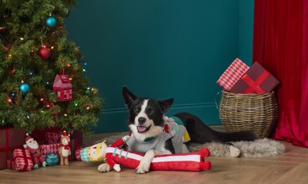 Secret Santa Paws