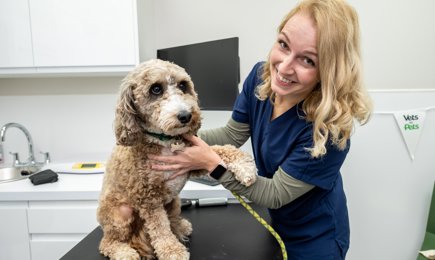 SWNS VETS FOR PETS 015