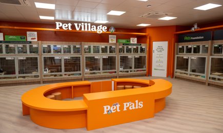 SWNS PETS AT HOME NEW MALDEN 41